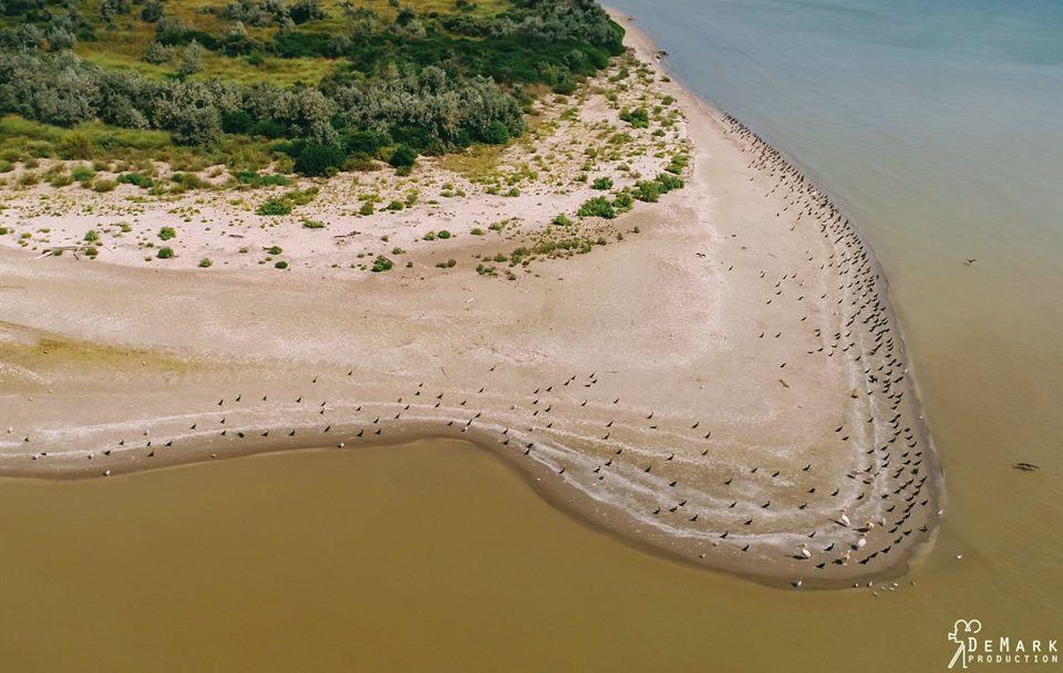 Baza Otdyha Primor'E Hotel Primorskoye Buitenkant foto